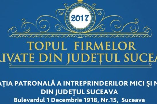 Topul firmelor private din judetul Suceava